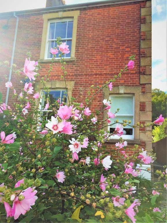 The Victorian House Bed & Breakfast Bridport Luaran gambar